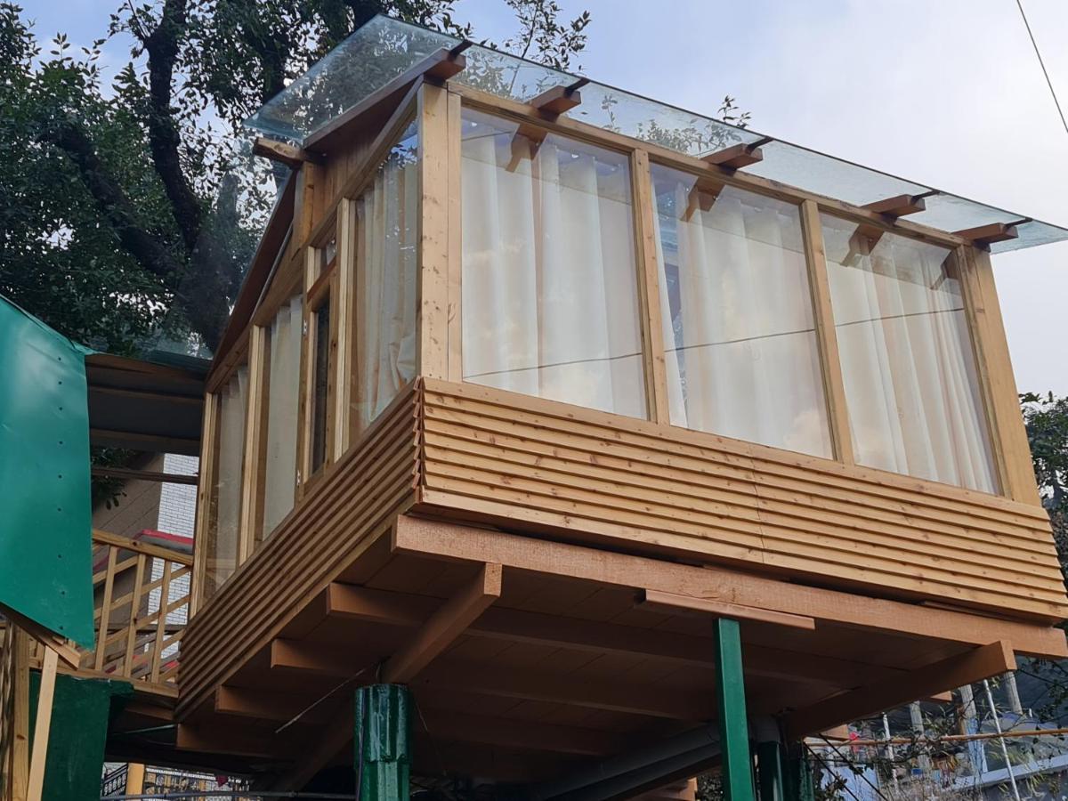 Manali Treehouse And Cafe - Manali (Himachal Pradesh) — Fotos 1